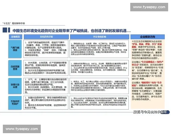 以销售增长为核心驱动企业业绩持续突破与市场份额提升路径战略实践