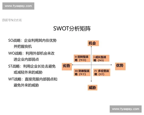 以现金流稳健为核心打造企业持续盈利与发展战略分析